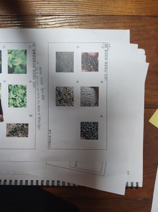 제주 애월용과문태현님의 자유주제 · 자유게시판 작성글 사진