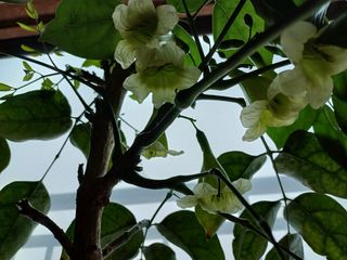 청안님의 자유주제 · 자유게시판 작성글 사진