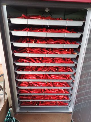 남궁봉님의 고추 · 영농일지 작성글 사진