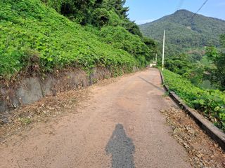 (힐링따오기쉼터)님의 기타작물 · 영농일지 작성글 사진