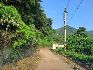 (힐링따오기쉼터)님의 기타작물 · 영농일지 작성글 사진