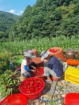 팜모닝 자유주제·사진전 게시글 이미지