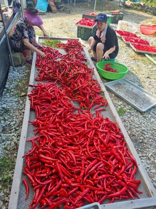 안정영.괴산님의 자유주제 · 사진전 작성글 사진