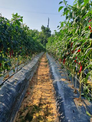 유선경님의 자유주제 · 자유게시판 작성글 사진