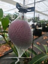 팜모닝 기타작물·영농일지 게시글 이미지