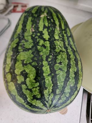 김영옥님의 기타작물 · 영농일지 작성글 사진