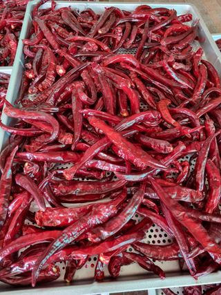 배추님의 농사, 무엇이든 물어보세요! · 참여글 작성글 사진