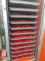 팜모닝 자유주제·자유게시판 게시글 이미지