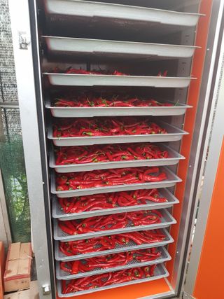 푸른농부님의 자유주제 · 자유게시판 작성글 사진