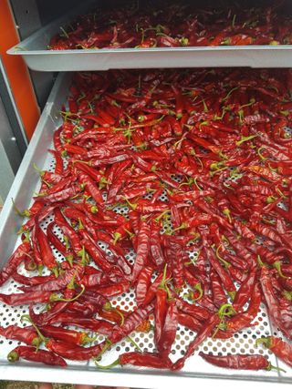 푸른농부님의 자유주제 · 자유게시판 작성글 사진