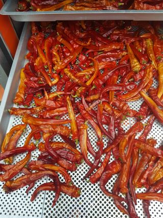 푸른농부님의 자유주제 · 자유게시판 작성글 사진