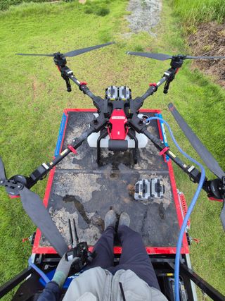 김동수님의 고구마 · 자유게시판 작성글 사진