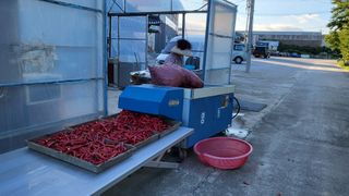 하태묵님의 고추 · 영농일지 작성글 사진