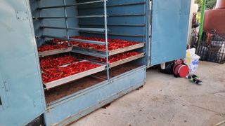 하태묵님의 고추 · 영농일지 작성글 사진