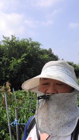 팜모닝 자유주제·자유게시판 게시글 이미지