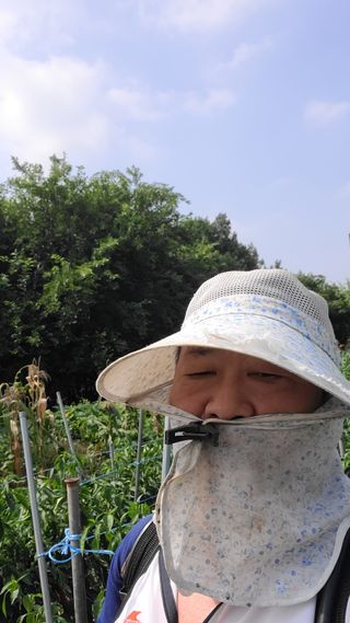 매실6483만물박사님의 자유주제 · 자유게시판 작성글 사진