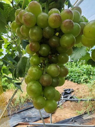 양금님의 자유주제 · 자유게시판 작성글 사진