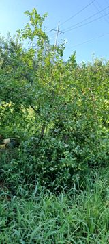 팜모닝 자유주제·자유게시판 게시글 이미지