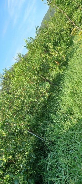 고풍마님님의 자유주제 · 자유게시판 작성글 사진