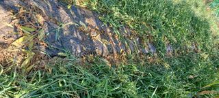 고풍마님님의 자유주제 · 자유게시판 작성글 사진