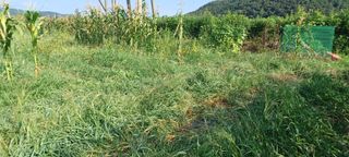 고풍마님님의 자유주제 · 자유게시판 작성글 사진