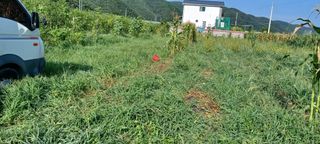 고풍마님님의 자유주제 · 자유게시판 작성글 사진