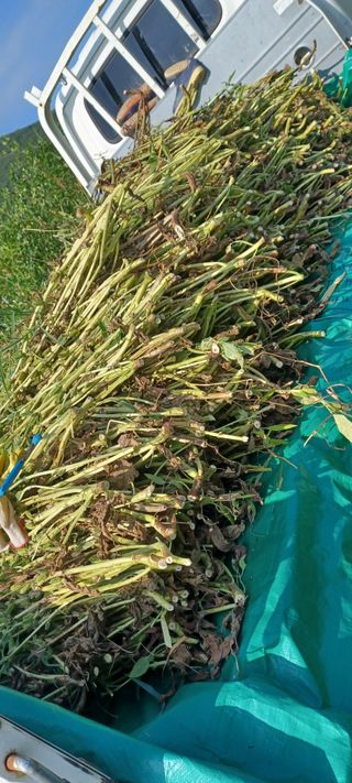 고풍마님님의 자유주제 · 자유게시판 작성글 사진