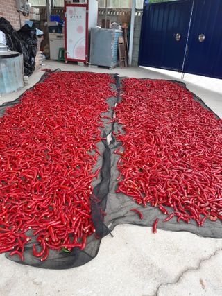 들깨18888님의 자유주제 · 자유게시판 작성글 사진