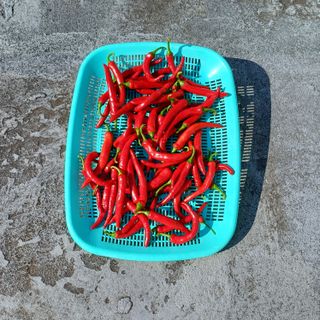 알 수 없음님의 자유주제 · 자유게시판 작성글 사진