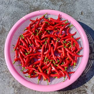 알 수 없음님의 자유주제 · 자유게시판 작성글 사진