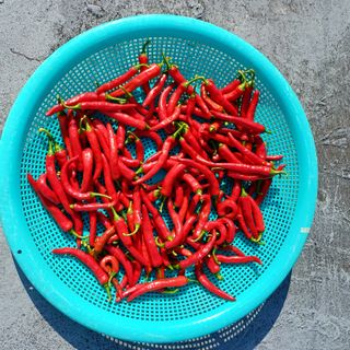 알 수 없음님의 자유주제 · 자유게시판 작성글 사진