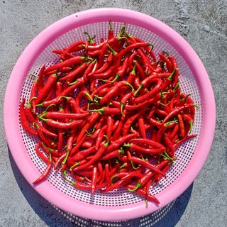 알 수 없음님의 자유주제 · 자유게시판 작성글 사진