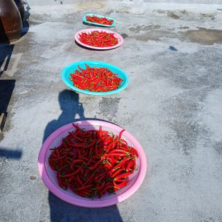 알 수 없음님의 자유주제 · 자유게시판 작성글 사진