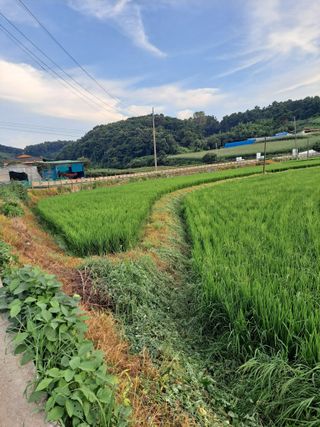 병찬님의 자유주제 · 자유게시판 작성글 사진