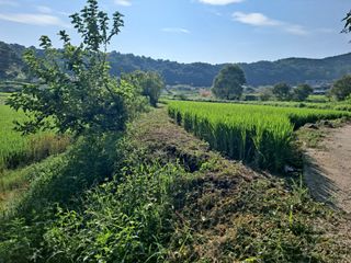병찬님의 자유주제 · 자유게시판 작성글 사진