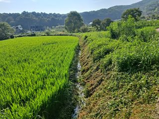 병찬님의 자유주제 · 자유게시판 작성글 사진
