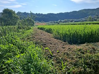 병찬님의 자유주제 · 자유게시판 작성글 사진