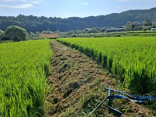 병찬님의 자유주제 · 자유게시판 작성글 사진
