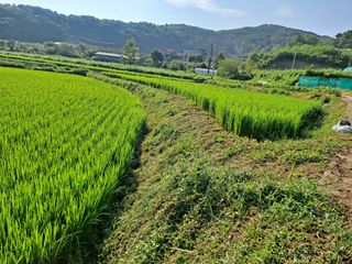 병찬님의 자유주제 · 자유게시판 작성글 사진