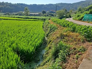 병찬님의 자유주제 · 자유게시판 작성글 사진