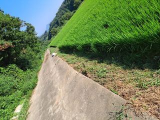 병찬님의 자유주제 · 자유게시판 작성글 사진