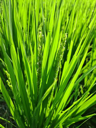 병찬님의 자유주제 · 자유게시판 작성글 사진