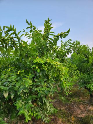 신평식님의 자유주제 · 자유게시판 작성글 사진