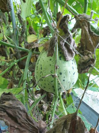 샤이니바다님의 자유주제 · 자유게시판 작성글 사진