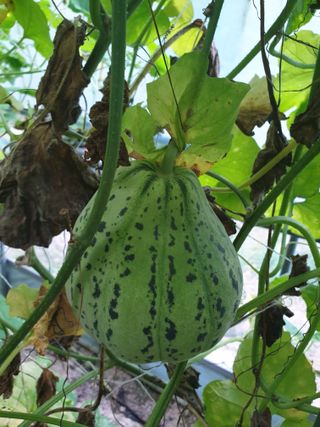 샤이니바다님의 자유주제 · 자유게시판 작성글 사진