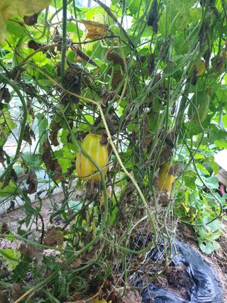 샤이니바다님의 자유주제 · 자유게시판 작성글 사진