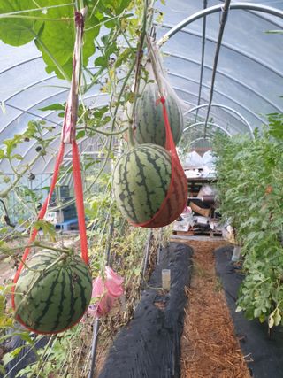 샤이니바다님의 자유주제 · 자유게시판 작성글 사진