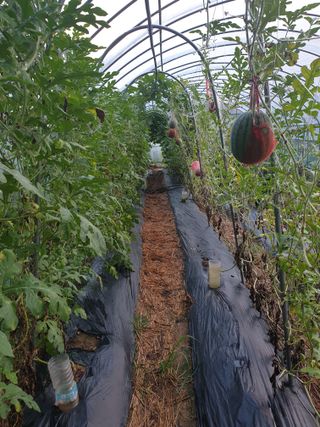 샤이니바다님의 자유주제 · 자유게시판 작성글 사진