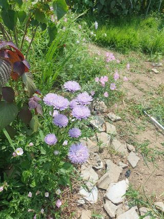 죽장인님의 자유주제 · 사진전 작성글 사진