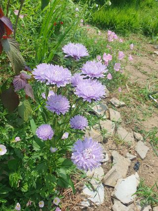 죽장인님의 자유주제 · 사진전 작성글 사진